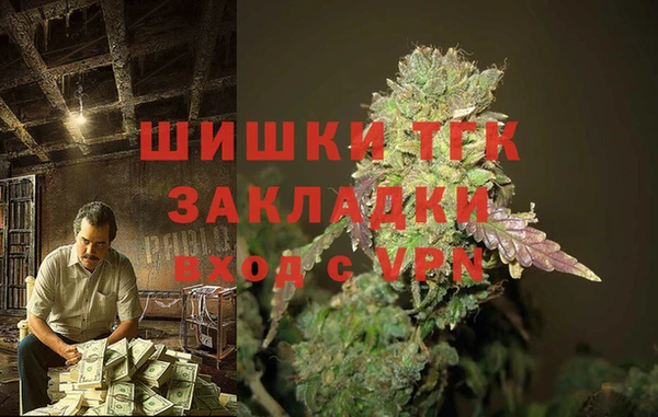 дмт Абаза