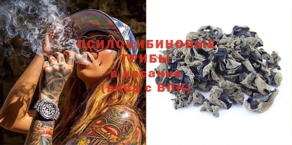 дмт Абаза