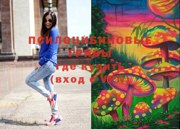 дмт Абаза