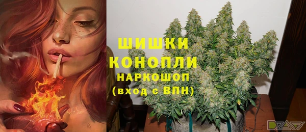дмт Абаза