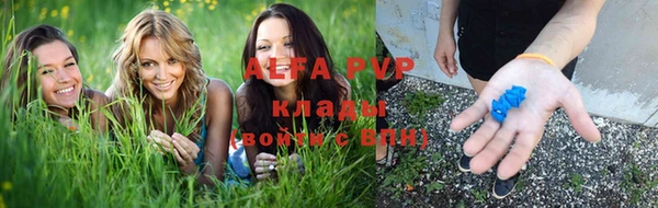дмт Абаза