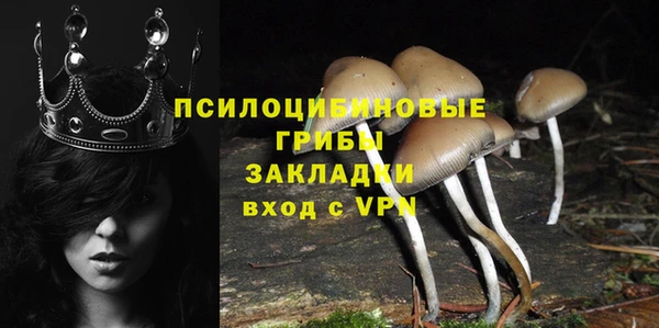 индика Абдулино