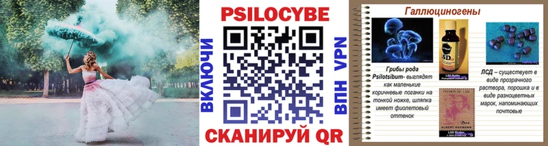 гидра вход  купить наркоту  Новое Девяткино  Псилоцибиновые грибы Psilocybine cubensis 